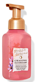 Chasing Daydreams Foaming Hand Soap 8.75 fl oz