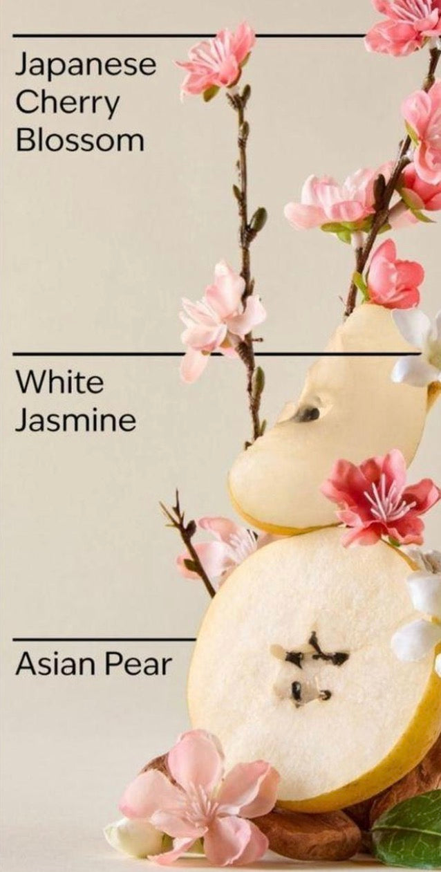 Bath & Body Works Japanese Cherry Blossom Lip Gloss 0.47 oz